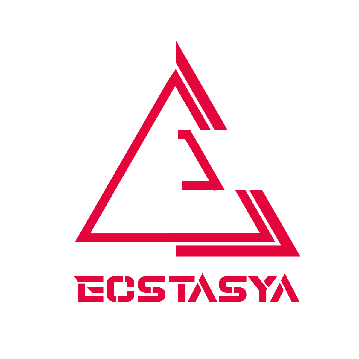 LOGO ECS